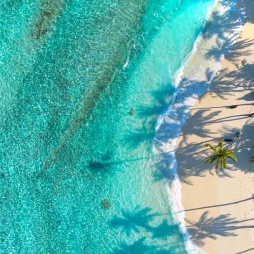 January 2027 Cruises