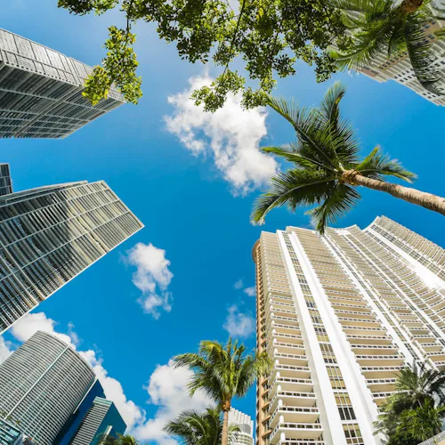 Colours of the Caribbean with Miami