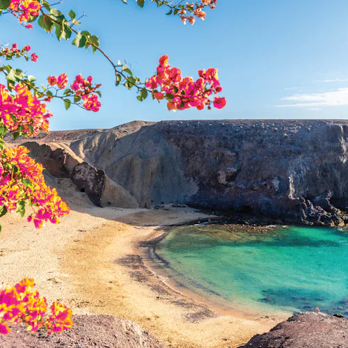 November 2028 Cruises