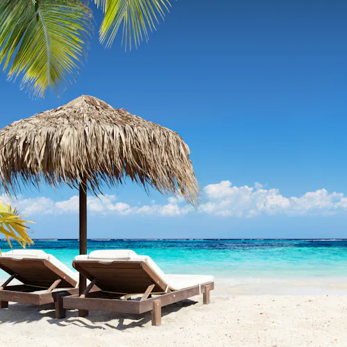 January 2028 Cruises