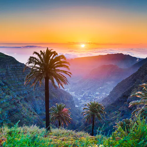 December 2027 Cruises