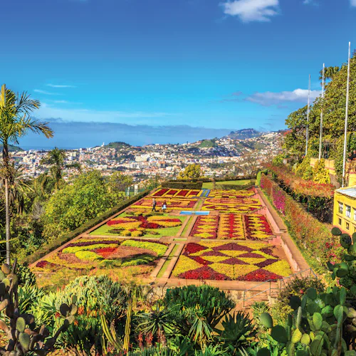 November 2027 Cruises